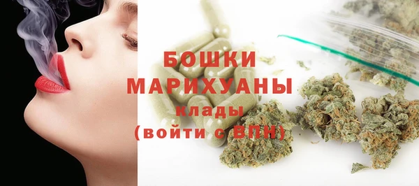 ПСИЛОЦИБИНОВЫЕ ГРИБЫ Алзамай